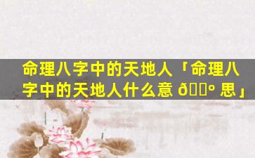 命理八字中的天地人「命理八字中的天地人什么意 🐺 思」